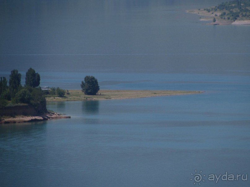 Золотая Бричмулла