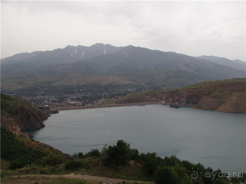 Золотая Бричмулла