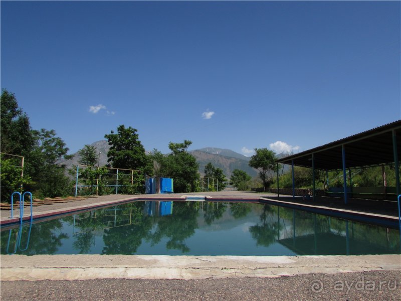 Золотая Бричмулла