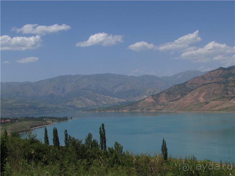 Золотая Бричмулла