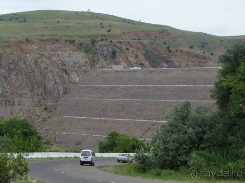 Золотая Бричмулла