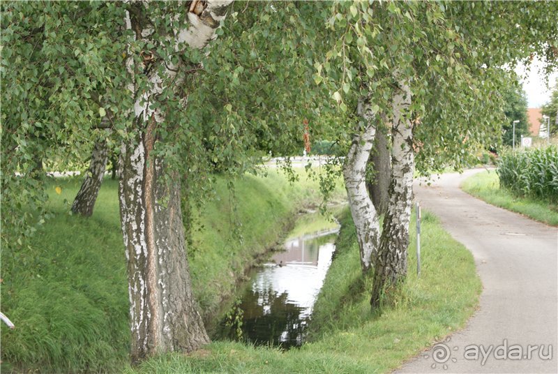 Долгая дорога домой