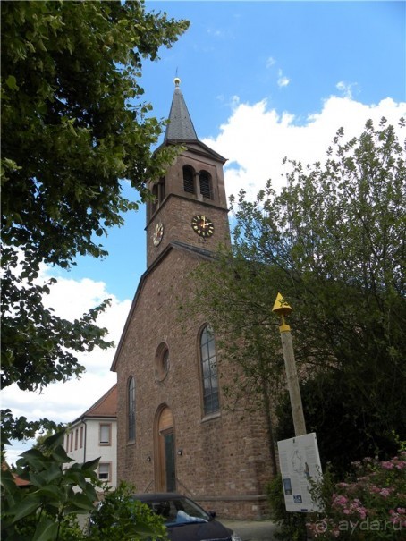 Долгая дорога домой