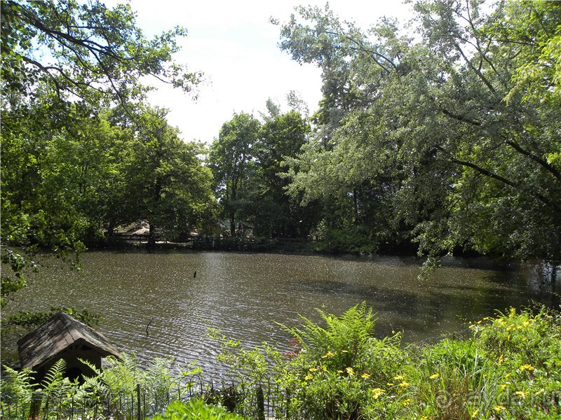 Долгая дорога домой