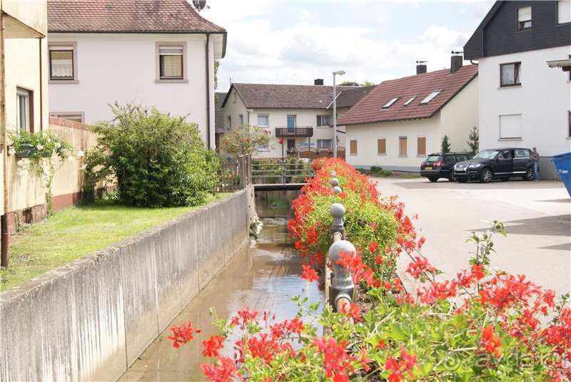 Долгая дорога домой