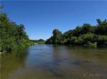 Летняя Медведица