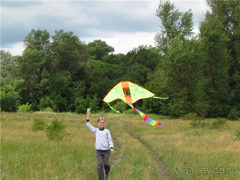 Летняя Медведица