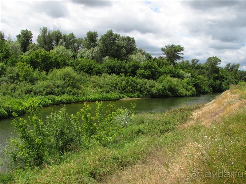 Летняя Медведица