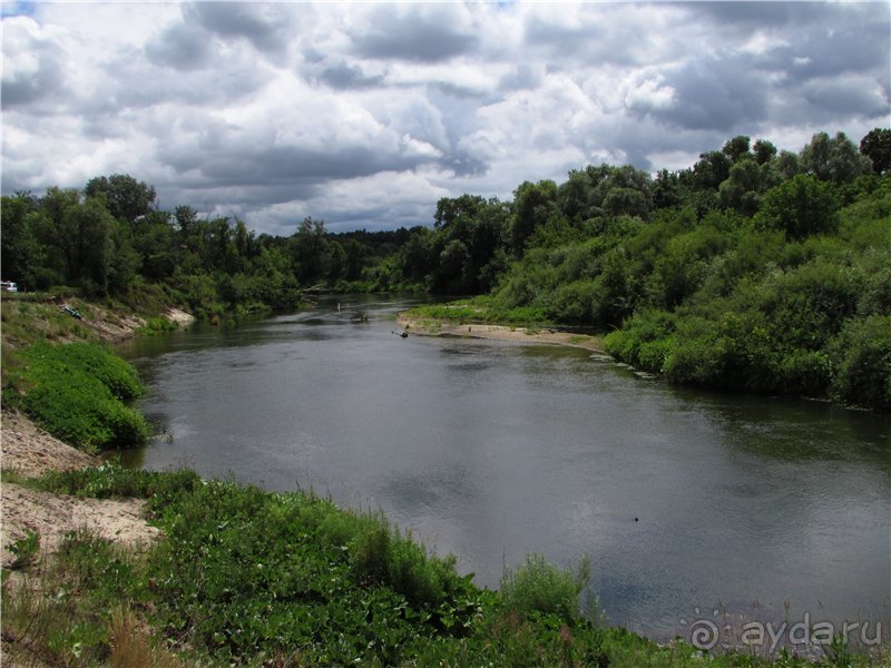 Летняя Медведица