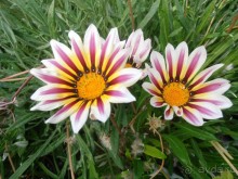 Крым, внезапно. Часть 1