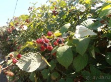 Крым, внезапно. Часть 1