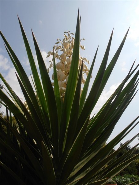 Крым, внезапно. Часть 1