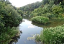 Дважды в одну реку