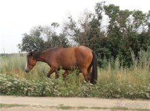 Дважды в одну реку