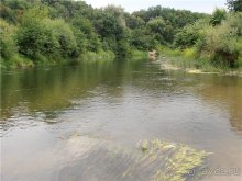 Дважды в одну реку