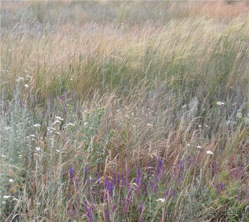 Дважды в одну реку