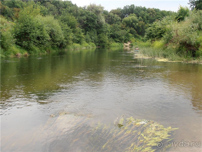 Дважды в одну реку