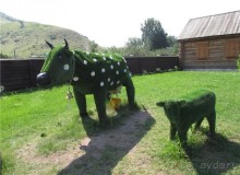 Сквозь волшебное кольцо