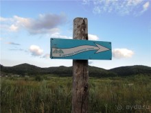 Альбом отзыва "Сквозь волшебное кольцо"