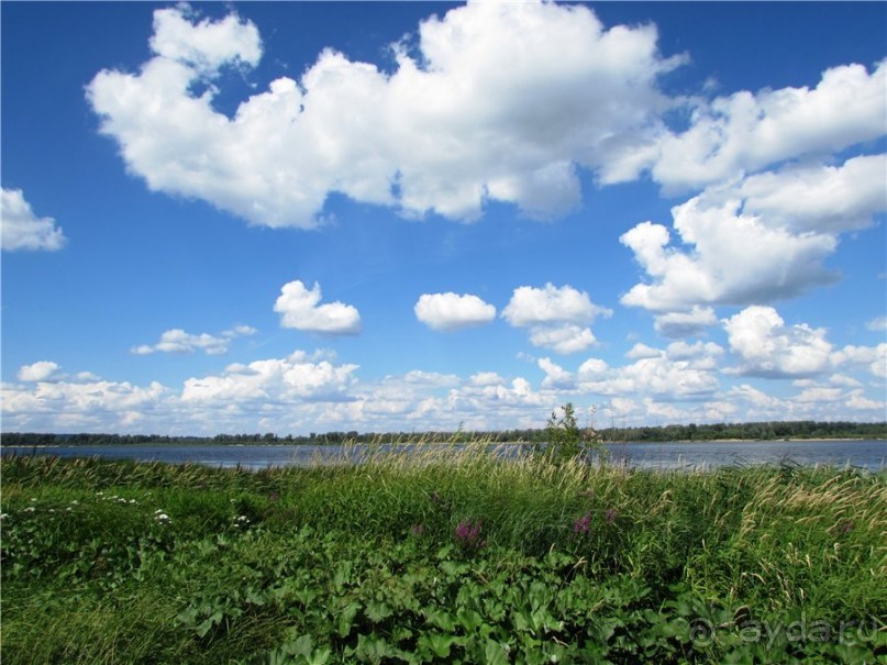Альбом отзыва "Сквозь волшебное кольцо"
