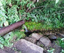 Сквозь волшебное кольцо