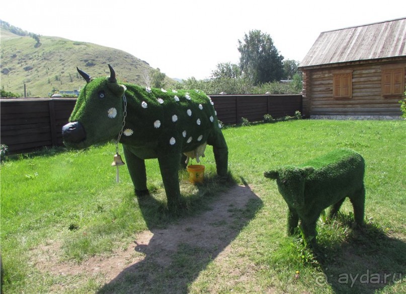 Сквозь волшебное кольцо