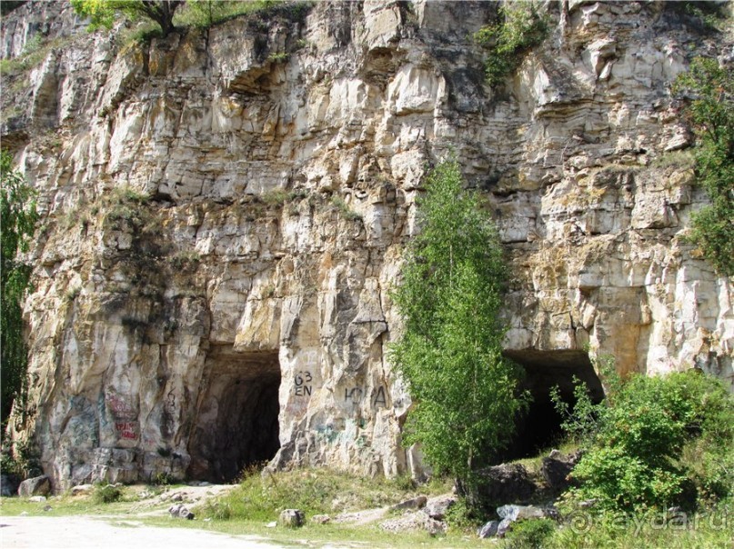 Сквозь волшебное кольцо