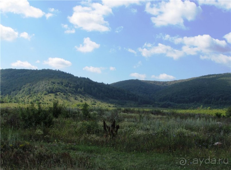 Сквозь волшебное кольцо