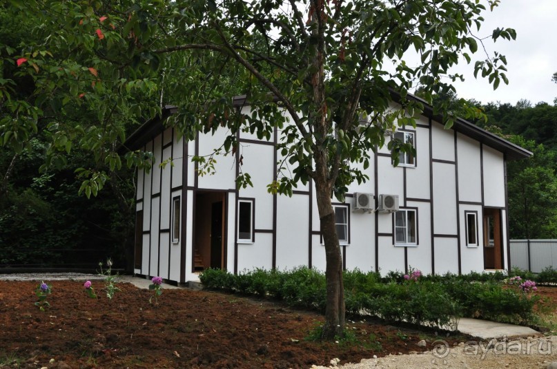 Это был незабываемый отдых в Гаграх! 