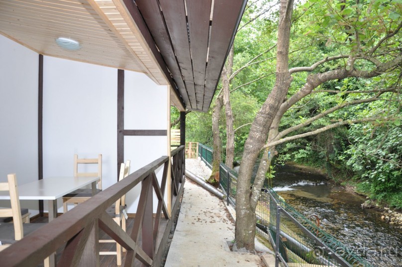 Это был незабываемый отдых в Гаграх! 