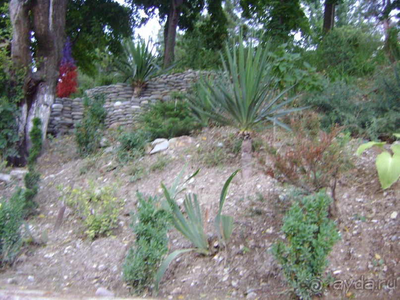 Очень чистый курортный поселок