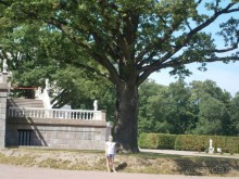 . Дворцово -парковый ансамбль Ораниенбаума 