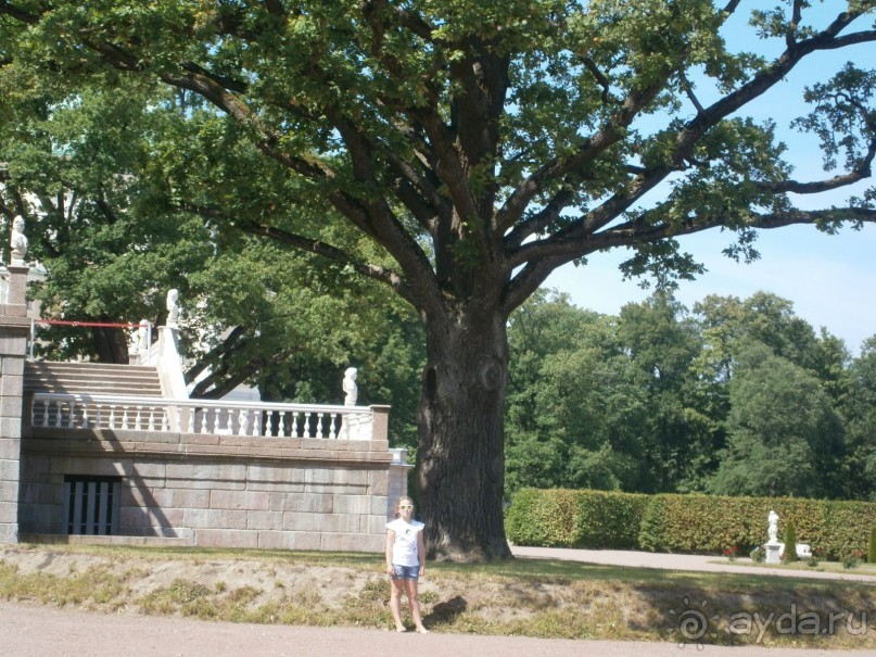 . Дворцово -парковый ансамбль Ораниенбаума 