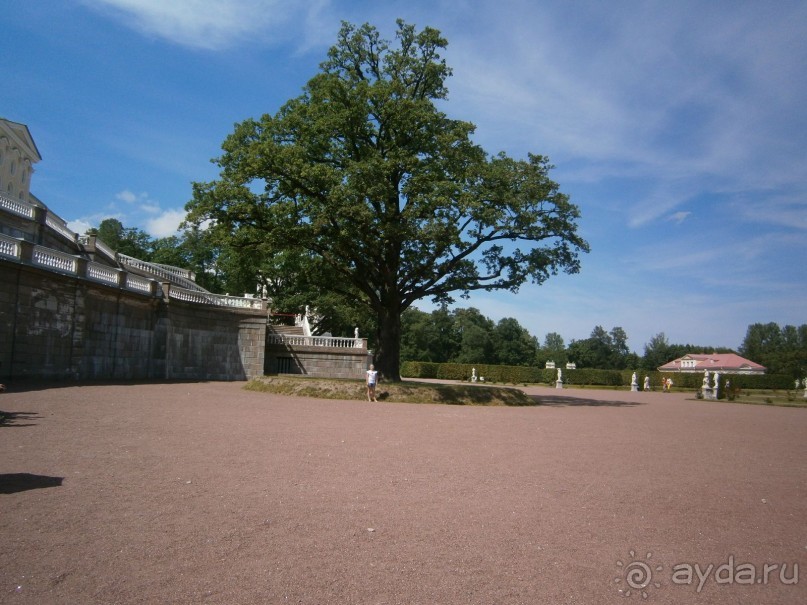 . Дворцово -парковый ансамбль Ораниенбаума 