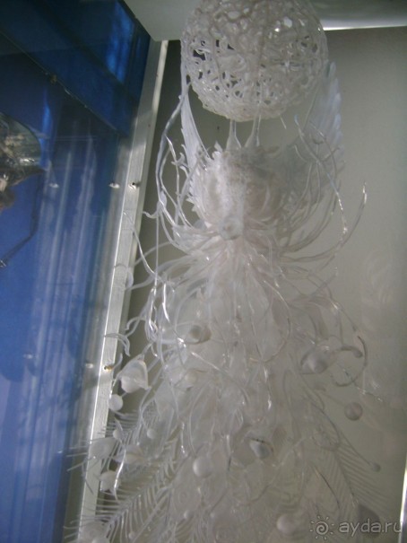 сказочная красота сказочная красота