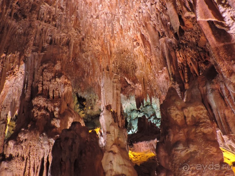 Об отеле и экскурсии.