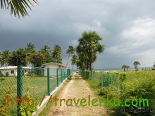 Пляж Упувели. Самостоятельное путешествие по Шри-Ланке