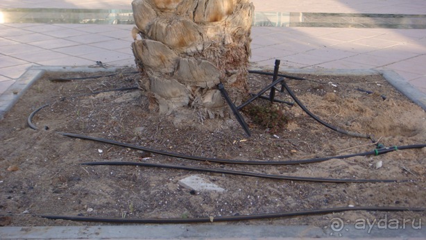 Как живется в ОАЭ? Мои наблюдения