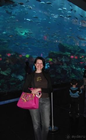 Дубай-молл - город в городе