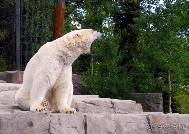 Зоопарк Ганновера