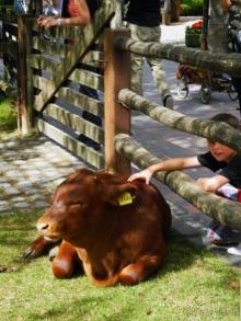 Зоопарк Ганновера