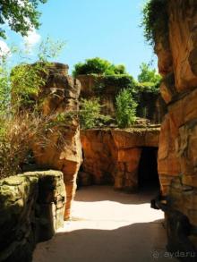 Зоопарк Ганновера