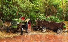 Зоопарк Ганновера