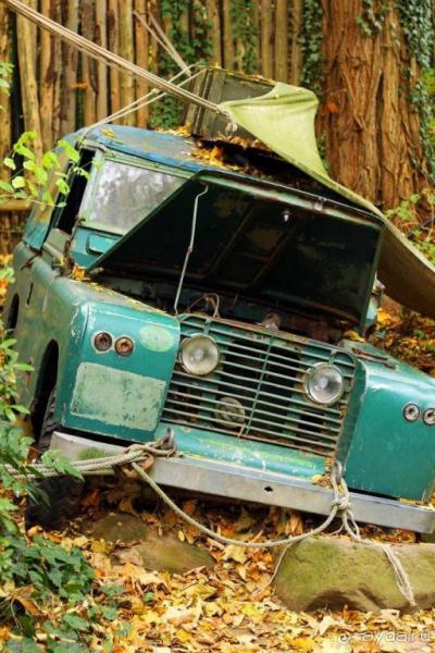 Зоопарк Ганновера