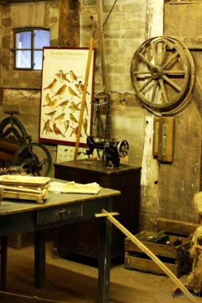 Зоопарк Ганновера