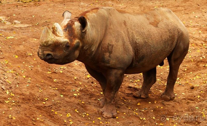 Зоопарк Ганновера