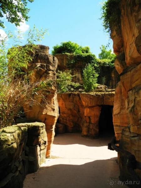 Зоопарк Ганновера