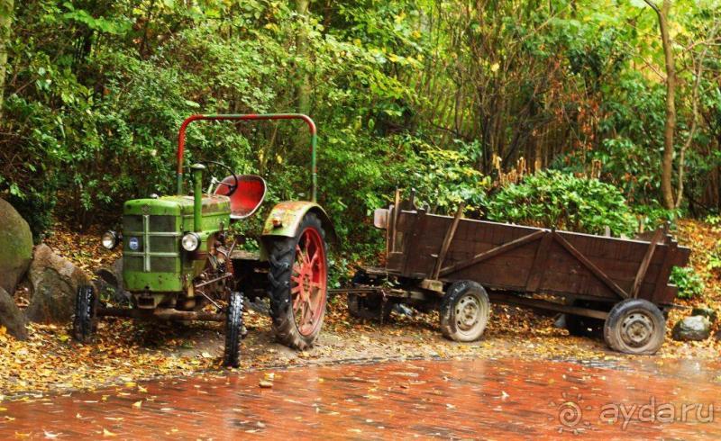 Зоопарк Ганновера