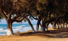 Солнечный Родос