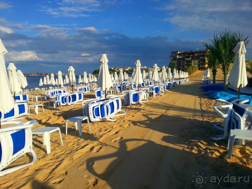 фото Elenis Studio